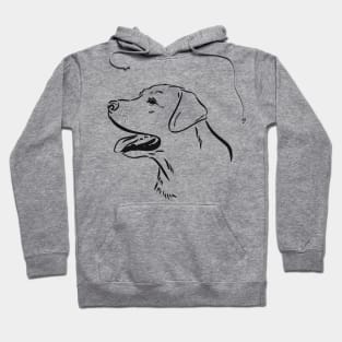 Labrador Retriever Hoodie